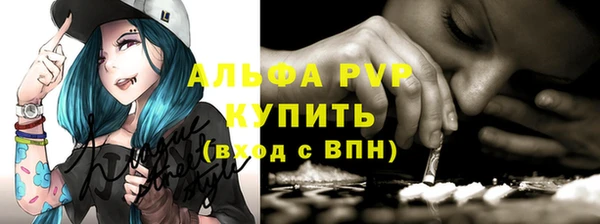 эйфоретик Инсар